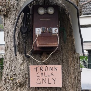 TrunkCalls20250331.jpg