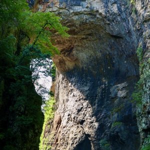Natural Bridge.jpeg