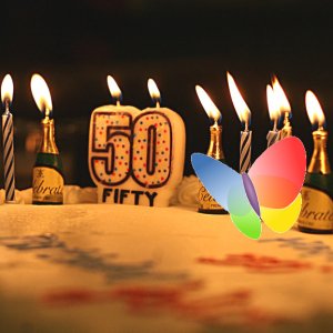 MS50.jpg