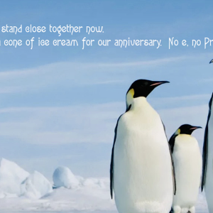 Pengu.png