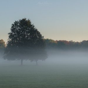 Misty Morning small PL.png