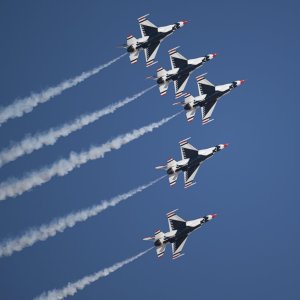 NZ8_3701 copy.JPG
