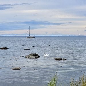 20230823_181757_Original.JPG