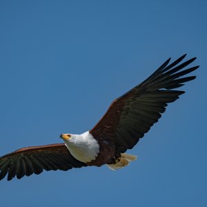 _Z635176.jpg