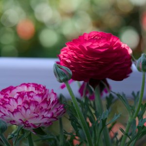 POTD April - 1 (1)_a.jpeg