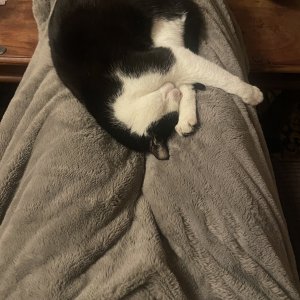 IMG_0185.jpeg