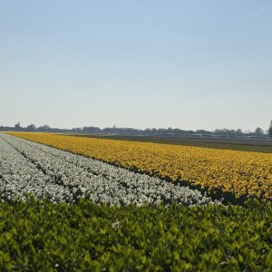 IMG_8514.jpeg