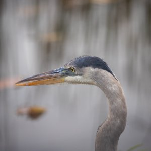 IMG_0540.jpg