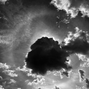 IMG_1677.jpeg