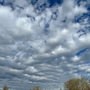 IMG_3343.jpeg