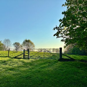 IMG_3668.jpeg