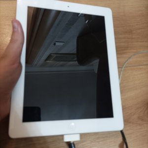 IMG_0007.jpeg