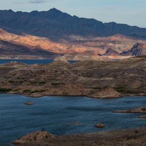 NZ8_3945.jpg