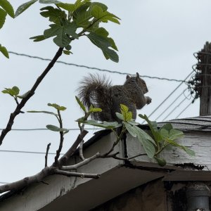 IMG_4134.jpeg