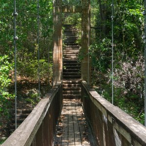 Ravine Gardens - 2500px-14.jpg