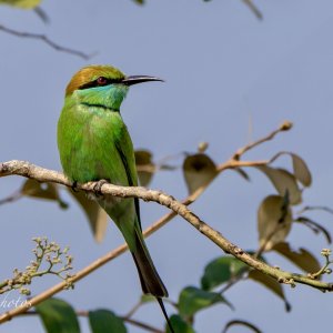 IMG_4324.JPG