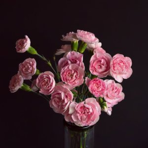 Bouquet.jpeg