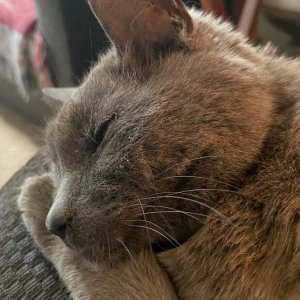 IMG_3851.jpeg