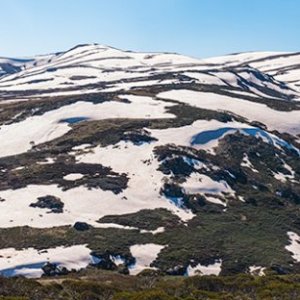 Snowy_River_Headwaters.jpg