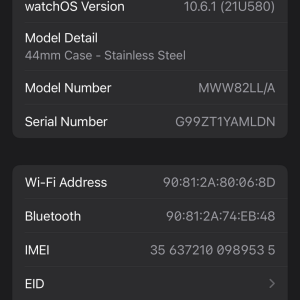 Apple Watch Steel S5 Detail.PNG