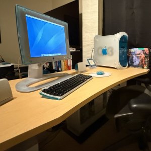 IMG_2631.jpeg