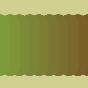 Kākāpō.png