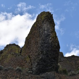 DSC_1701.JPG