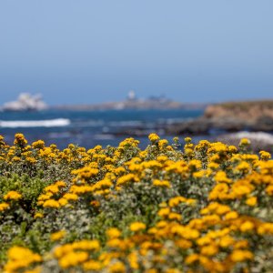 IMG_8341.jpg