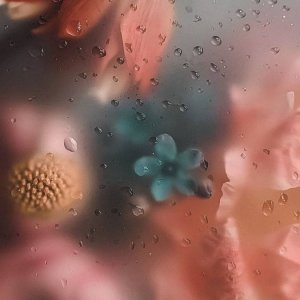 8e7b16ccdc7ca7ca234fa6aebcf0f2b3.jpg