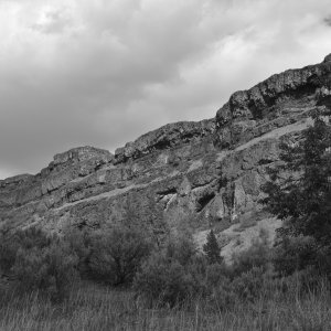 DSC_1724.JPG