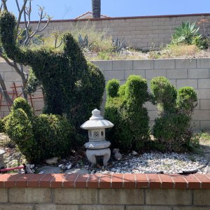 IMG_2782.jpeg