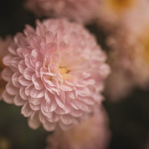 DP_October_19_2019.jpg