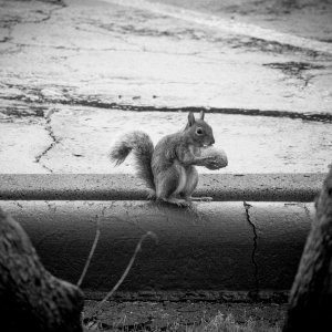 5441B6B1-0EAA-47F9-95AD-CA658438B326.jpeg