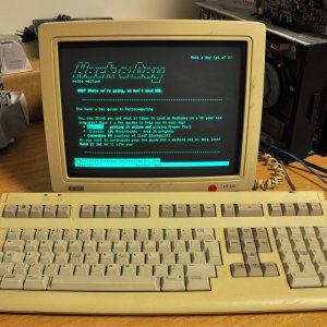 DEC Terminal.jpg