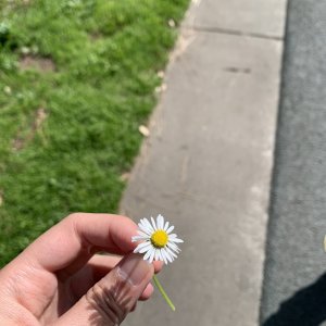 IMG_2353.jpeg