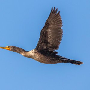 IMG_8713.jpg