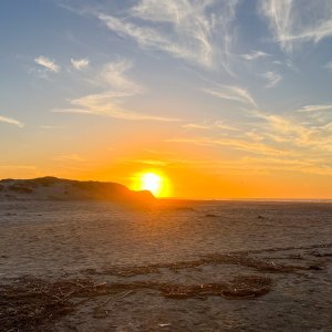 IMG_5493.jpg