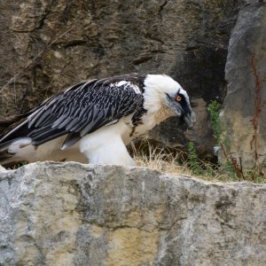 La Garenne Parc - 2500px-12.jpg