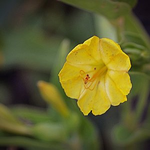 _1014489 cropxv2.jpg