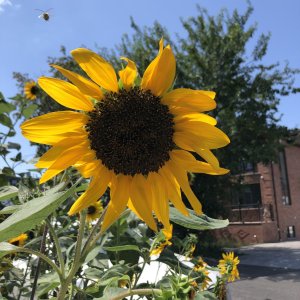 IMG_2100.jpeg