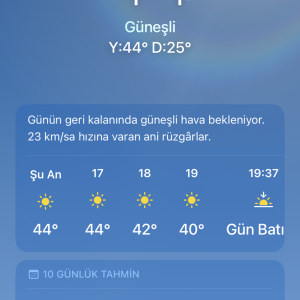 IMG_2485.png