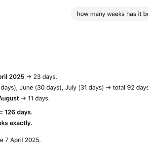 Screenshot 2025-08-11 at 1.08.14 PM.png