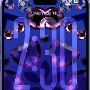 Screenshot 2025-08-11 at 2.46.41 PM.png