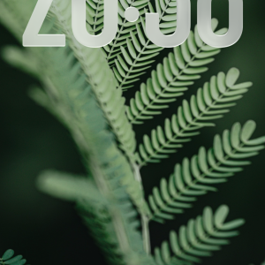 IMG_0208.png
