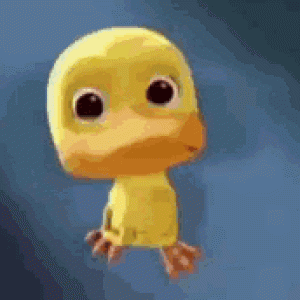 IMG_2175.gif