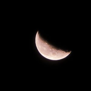 20250817_021621(1).jpg
