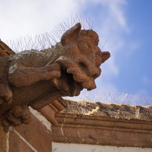 Teror20150917.jpg