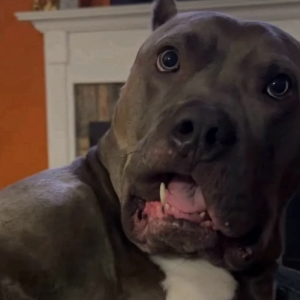 Screenshot 2025-08-31 at 6.10.45 PM.png