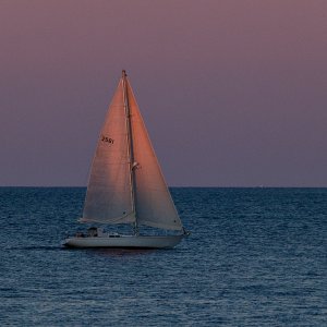 2025-08-30 ~ R52_3523.jpg