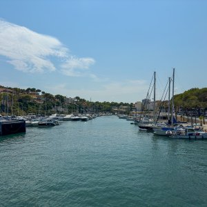 IMG_9007.JPG